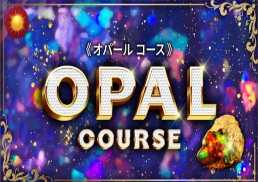 競艇ビッグウェーブ オパールプラン